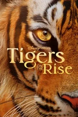 Tigers on the Rise (2024) Disney+ บรรยายไทย